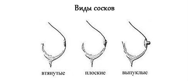Виды сосков