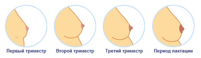 Колет в груди