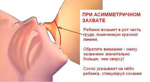 Грудь после родов