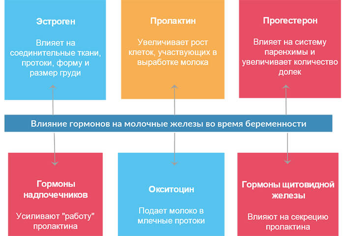 Набухание молочных желез при беременности