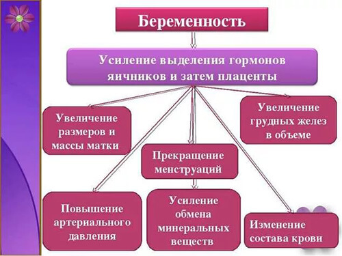 Чешется грудь