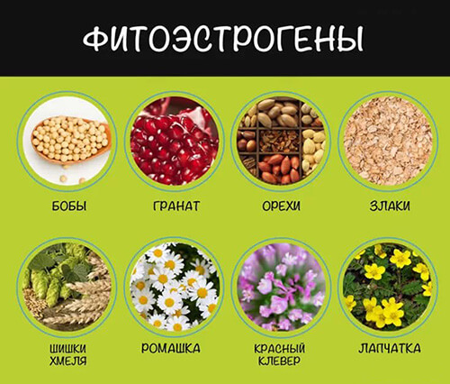 Диеты для груди
