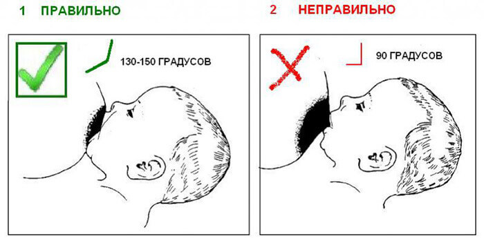 Грудь после родов