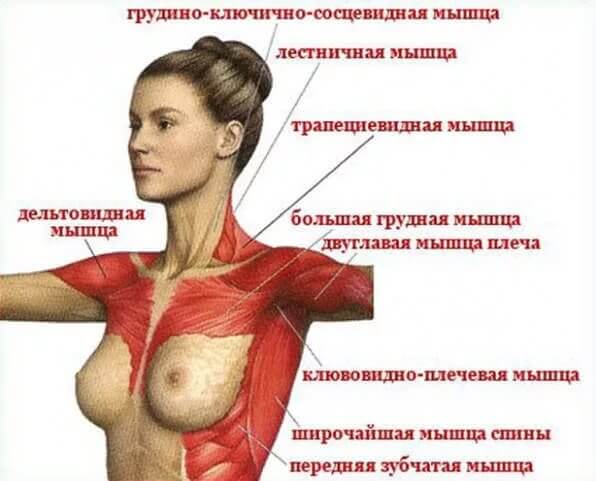 Птоз (обвисание) молочных желез